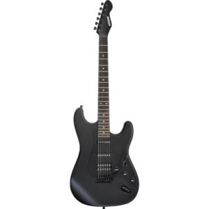 SELDER セルダー エレキギター ストラトキャスタータイプ サクラ楽器オリジナル STC-04/BB (本体のみ/ソフトケース付) 1