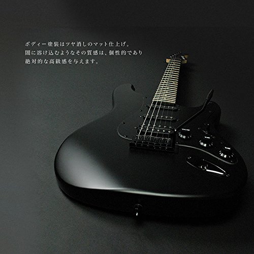 SELDER セルダー エレキギター ストラトキャスタータイプ サクラ楽器オリジナル STC-04/BB (本体のみ/ソフトケース付) 中間 画像