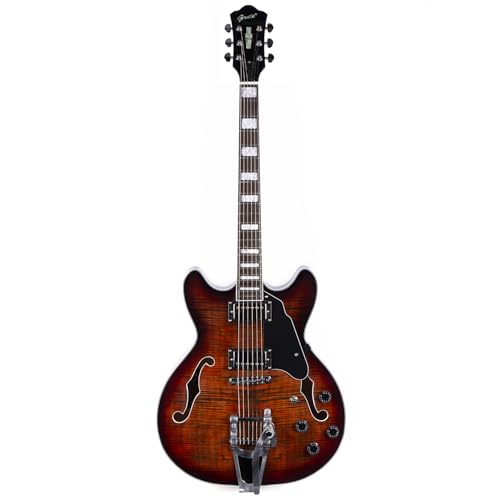 GROTE 335 style Jazz Electric Guitar with Bigsby Semi-Hollow Body (Brown)の外観・全体像 画像