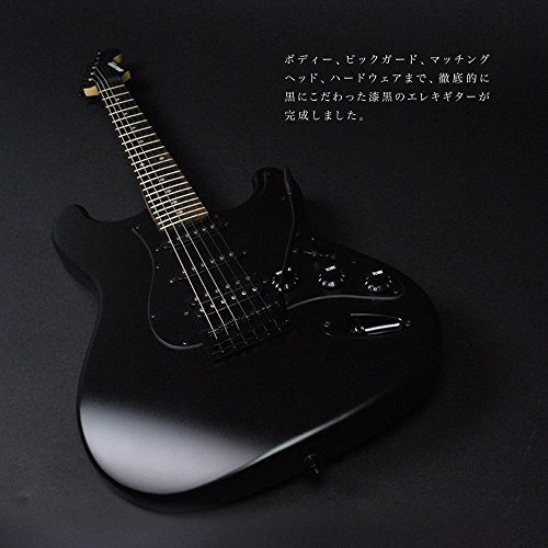 SELDER セルダー エレキギター ストラトキャスタータイプ サクラ楽器オリジナル STC-04/BB 初心者入門13点セットの特徴・詳細 画像