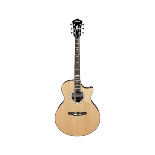 Ibanez MRC10-NT Marcin Patrzalekモデル エレクトリックアコースティックギターの外観・全体像 画像