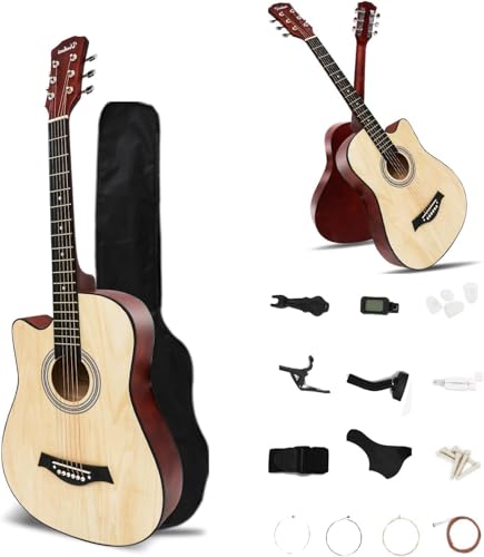 アコースティックギター 17点セット 初心者入門セット 練習ギター guitar 初心者 ソフトケース付き 38インチ JTの外観・全体像 画像