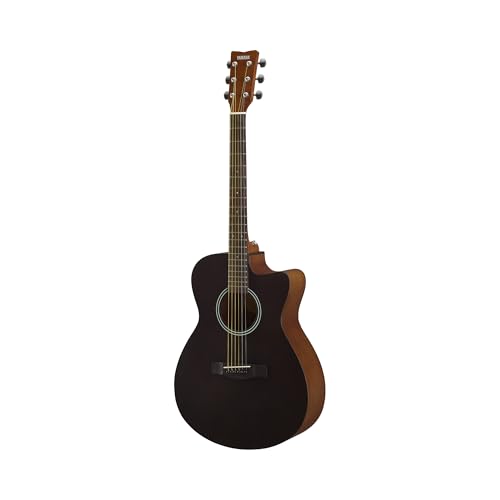 ヤマハ YAMAHA アコースティックギター スモーキーブラック FS400C SBの外観・全体像 画像