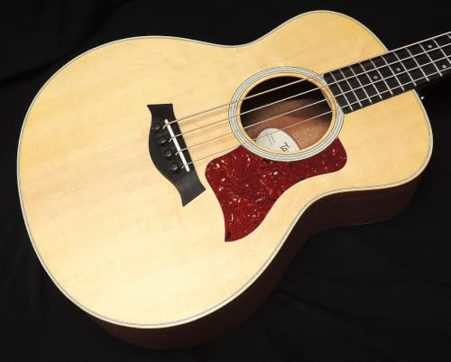 Taylor GS Mini-e Bass テイラー アコースティック ベース GSミニ ベース エレアコベース アウトレットの特徴・詳細 画像