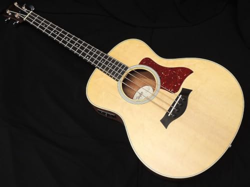 Taylor GS Mini-e Bass テイラー アコースティック ベース GSミニ ベース エレアコベース アウトレットの外観・全体像 画像