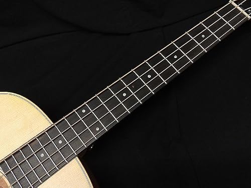 Taylor GS Mini-e Bass テイラー アコースティック ベース GSミニ ベース エレアコベース アウトレットの特徴・詳細 画像