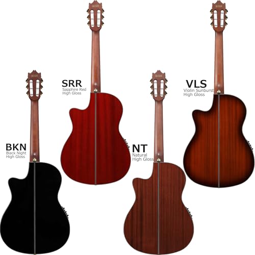 Ibanez GA35TCE 初心者14点セット BKN クラシックギター ナイロン弦 プリアンプ搭載 薄型ボディ ローズウッド指板 アイバニーズの特徴・詳細 画像