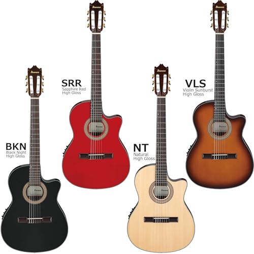 Ibanez GA35TCE 初心者14点セット BKN クラシックギター ナイロン弦 プリアンプ搭載 薄型ボディ ローズウッド指板 アイバニーズの詳細・まとめ 画像